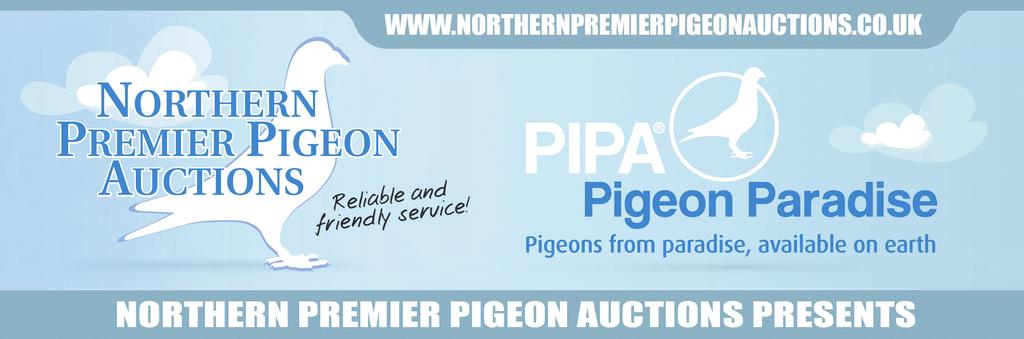 PIPA AND NORTHERN PREMIER PIGEON AUCTIONS PRESENT ANOTHER FANTASTIC SALE ON BEHALF OF BART & LUC GEERINCKX ANTOINE & RUDI DE SAER and PIETER VEENSTRA THE SALE WILL BE HELD ON SUNDAY 16th NOVEMBER AT