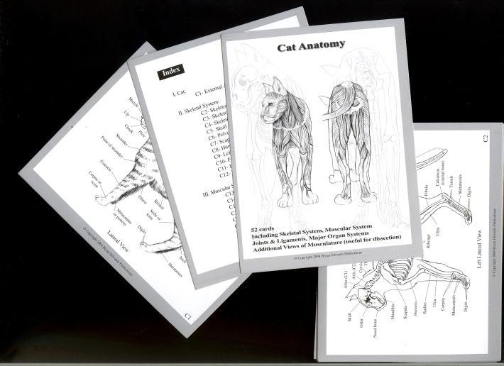 LFA #2022 Canine and LFA #2023 Feline Anatomy Flash Cards Order directly online and SAVE 5% on each order!
