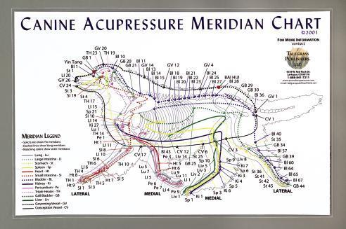 We also stock a complete line of Tall Grass Institute (tm) veterinary acupressure charts, models, CD s and manuals to support the growing application of acupuncture/acupressure methods for animal