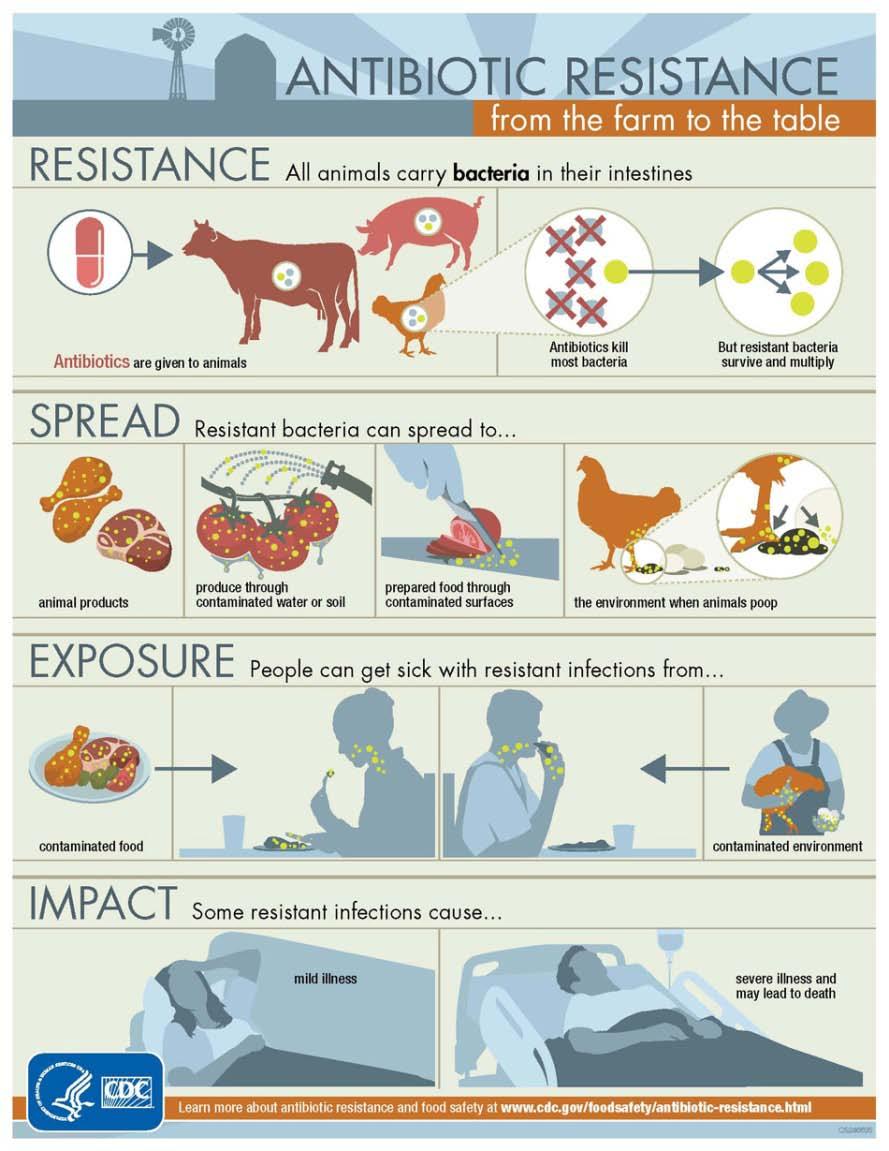 Multiple Pathways Animal meat production Spread to food supply via contaminated environments