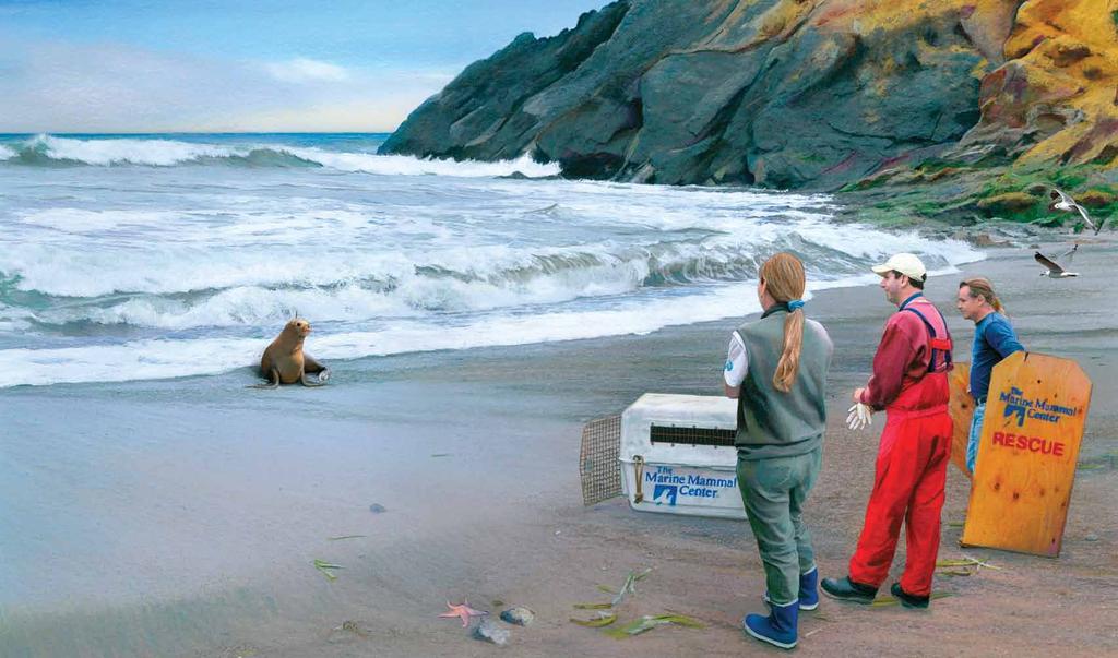 Astro needed to go into the ocean, not up on the beach with people. Would Astro be able to return to the wild?