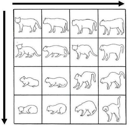 Figure 3 shows whole-body communication. This includes the tail, legs, back and head postures. Figure 3 The sequences begin top left across right in each row.