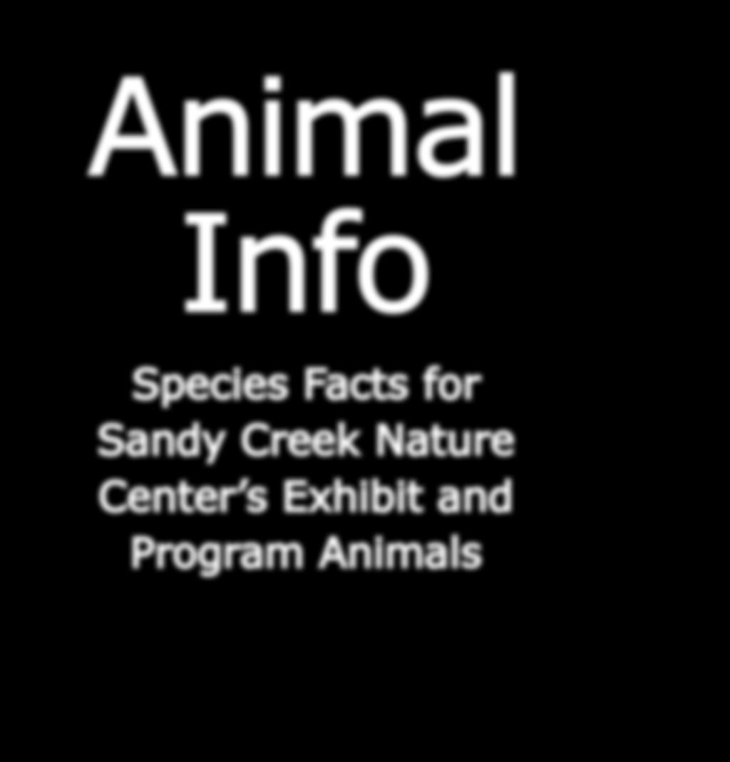 Animal Info Species Facts for Sandy Creek