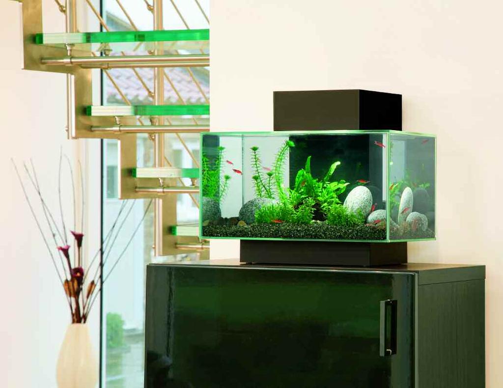The constant cascade from the filter oxygenates water and 3-stage filtration ensures a clear and healthy environment.