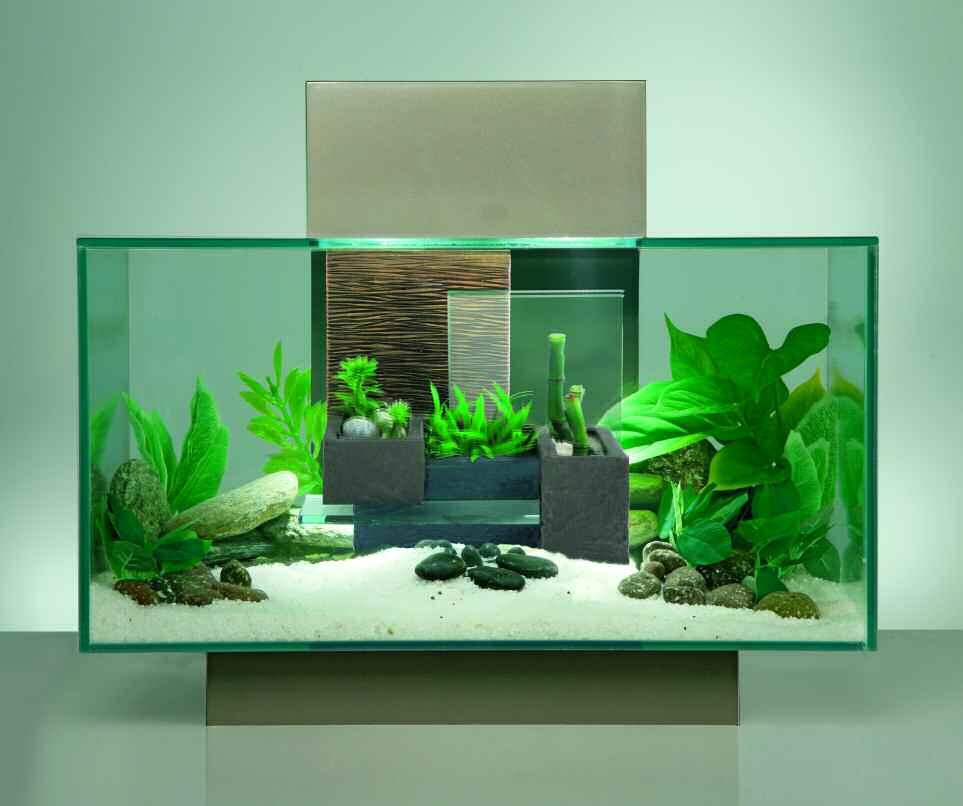in conjunction with a good maintenance schedule to keep the aquarium conditions healthy for fish.