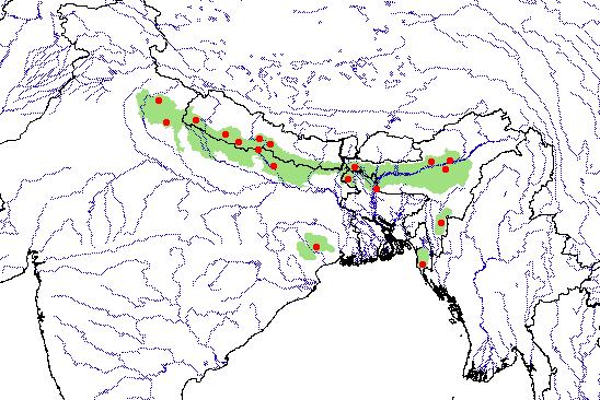 Geoemydidae Melanochelys tricarinata 025.3 Figure 4. Distribution of Melanochelys tricarinata in the Indian subcontinent.