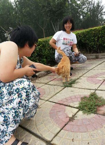 We ve learned that team building is as important as providing TNR skills, so trainers from Beijing welfare group Lucky Cats, shared their experiences with Xixi Senlin Guangzhou Cat and Shijiazhuang