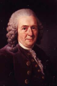 Carolus Linnaeus 1707 1778 Called the Father of Taxonomy Classified organisms by their physical and structure.