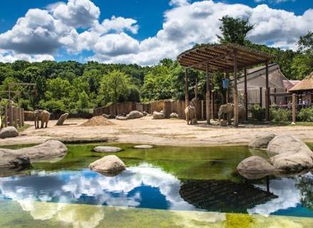 The Cleveland Metroparks Zoo is excited to welcome Felid TAG Conference participants for a Post Conference visit.