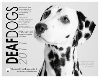 Dalmatians The urinary tract is a major weakness in Dalmatians, who are prone to forming urinary stones throughout their life.