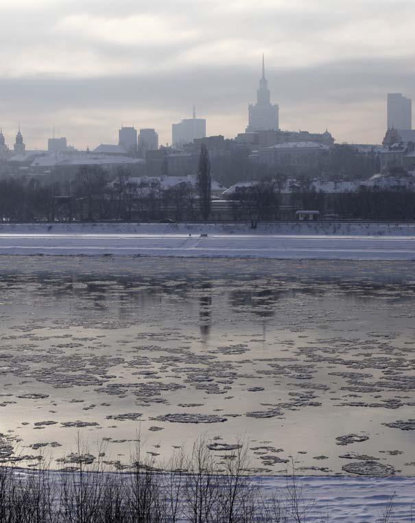 One cold winter day, a dog walked to the edge of an icy river in Poland.