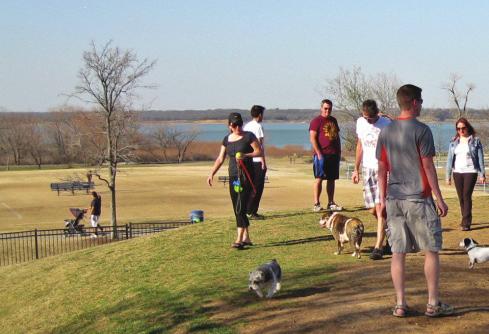 DOG PARK OPERATIONAL POLICIES To maintain a safe environment for dogs of all breeds, temperaments, and sizes, dog owners and caretakers should follow operational policies in dog areas and dog parks,