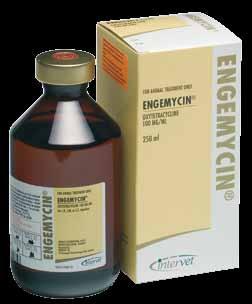 Engemycin Ready to use aqueous suspension containing 100mg oxytetracycline per ml, to provide broad-spectrum activity with a dual dosage regime.