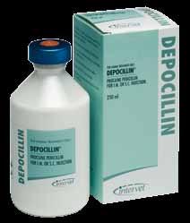 Depocillin Nuflor Ready to use procaine penicillin that offers consistently excellent quality. Contains 300mg procaine penicillin (300,000 IU) per ml.