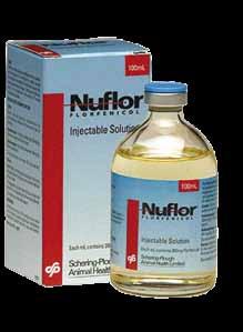 Depocillin is the penicillin of choice for equine practice because of low levels of free procaine giving less potential for adverse reactions.