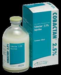 Cobactan 2.5% Injection Tribrissen 48% A 4th generation cephalosporin that combines excellent activity with short withholding periods for meat and milk. Contains 25mg/mL cefquinome.