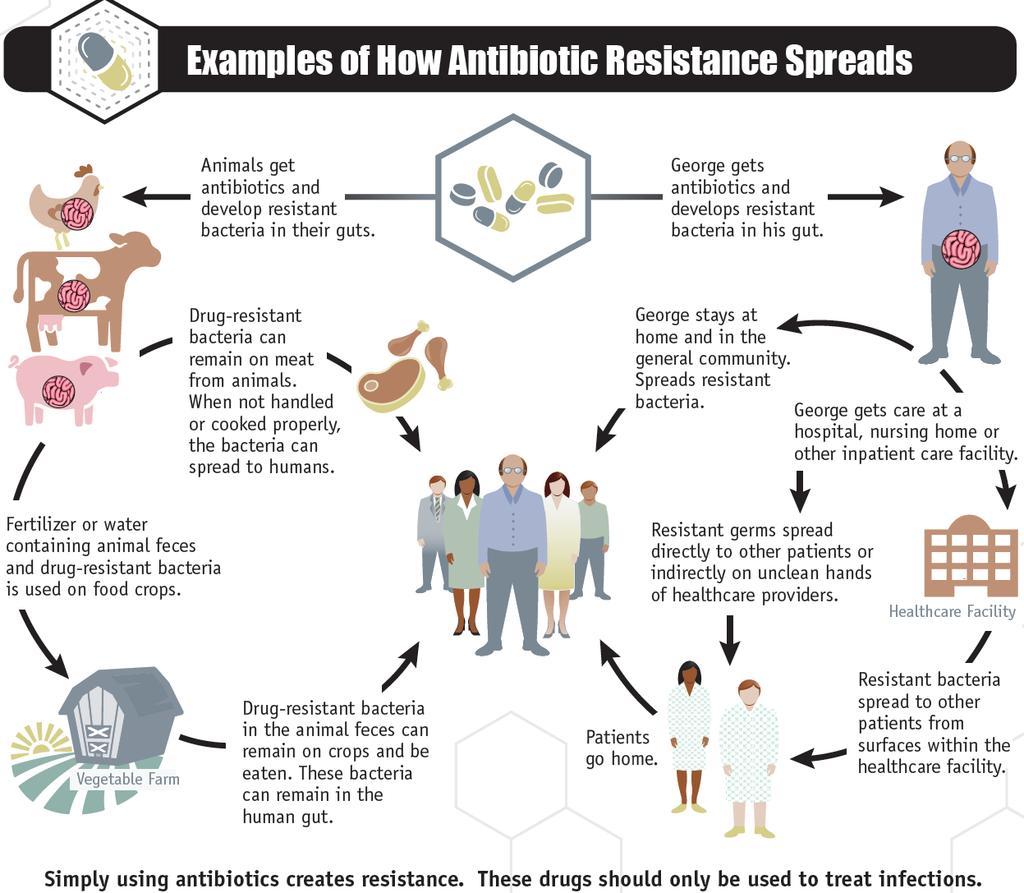 CDC. About Antibiotic Resistance. https://www.cdc.