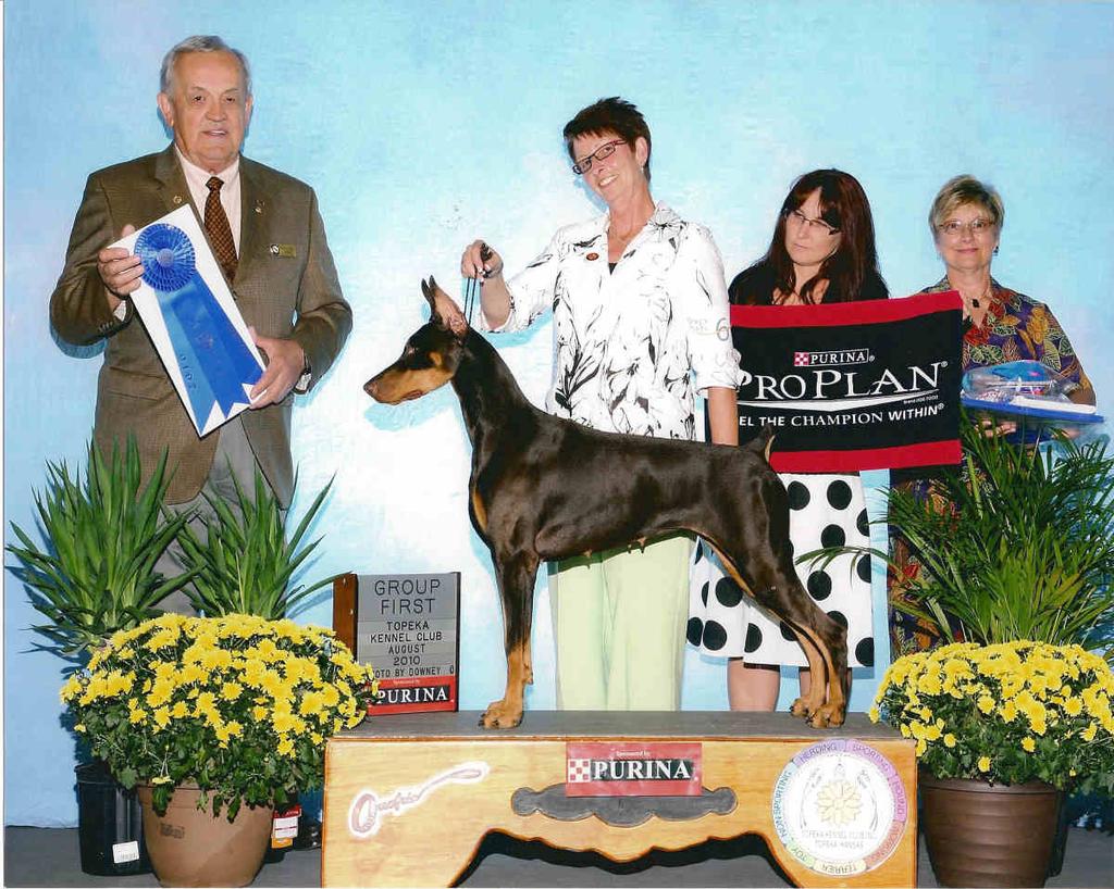 " '( -Continued Laura Tate Taterz Bulldogs GCH Jaylou's Plum Jersey Girl is the #1 Grand Champion Bulldog in the state of SC!