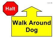 Dogs need good basic skills: walking at heel; sit; down; recall; finish.