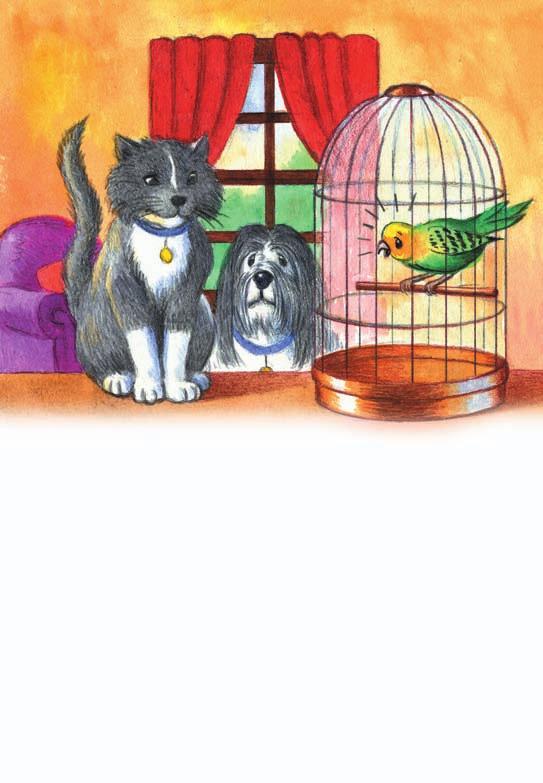 Bird was always on my side. Trouble, trouble! she squawked whenever she saw Summer. The cat just looked at her with a smile. That cat was not stupid.