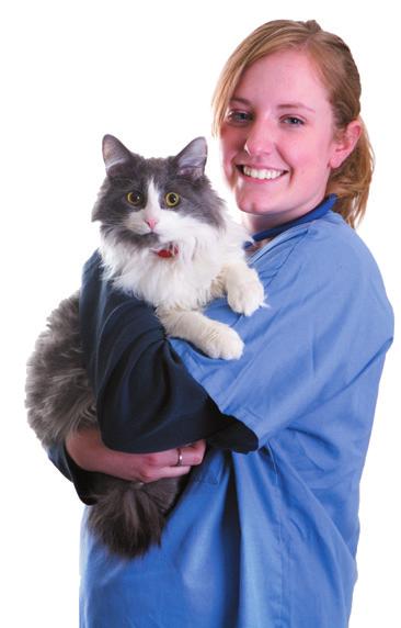 LIFETIME PLAN FOR YOUR CAT 6-9 WEEKS OF AGE: Meet your Registered Veterinary Nurse Free preventative health care discussion with one of our Registered Veterinary Nurses Discussion of preventative
