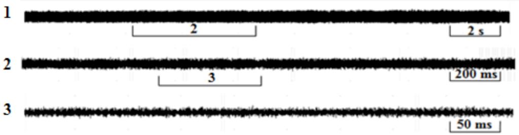 6. Spectrogram analysis of the courtship song of Cicadatra persica.