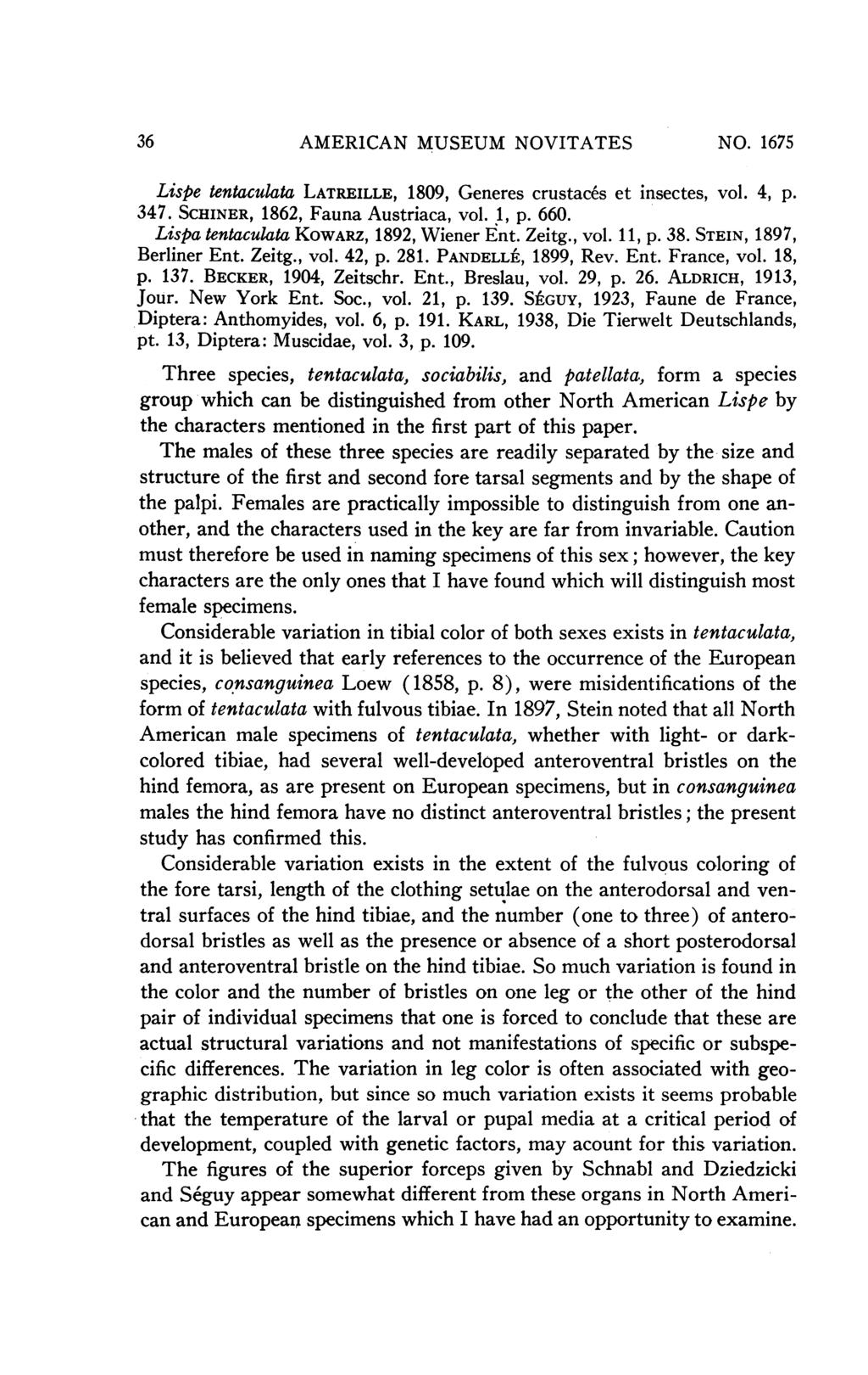 36 AMERICAN MUSEUM NOVITATES NO. 1675 Lispe tentaculata LATREILLE, 1809, Generes crustaces et insectes, vol. 4, p. 347. SCHINER, 1862, Fauna Austriaca, vol. 1, p. 660.