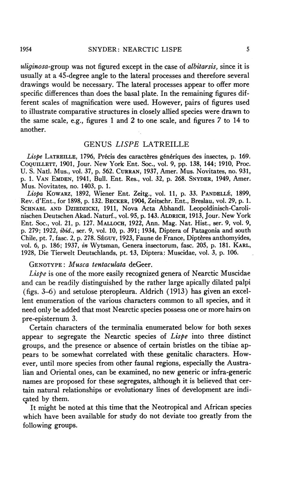 1954 SNYDER: NEARCTIC LISPE 5 uliginosa-group was not figured except in the case of albitarsis, since it is usually at a 45-degree angle to the lateral processes and therefore several drawings would