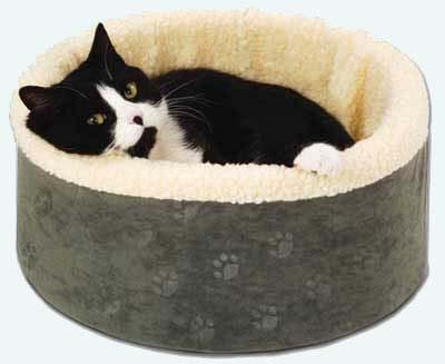 Cats spend a large portion of their day either resting or