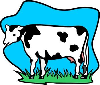 Farm Field Trip Page 3 Bessie: All students: Moooooo! Do brown cows give chocolate milk? (giggle) No.