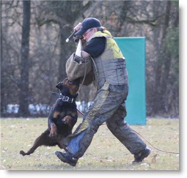 With over 25 yeas of experience, Klaus has titled over 94 Schutzhund Test (VPG) with different breeds of dogs (German Sheppard, Boxer, Dobermans and Rottweiler).