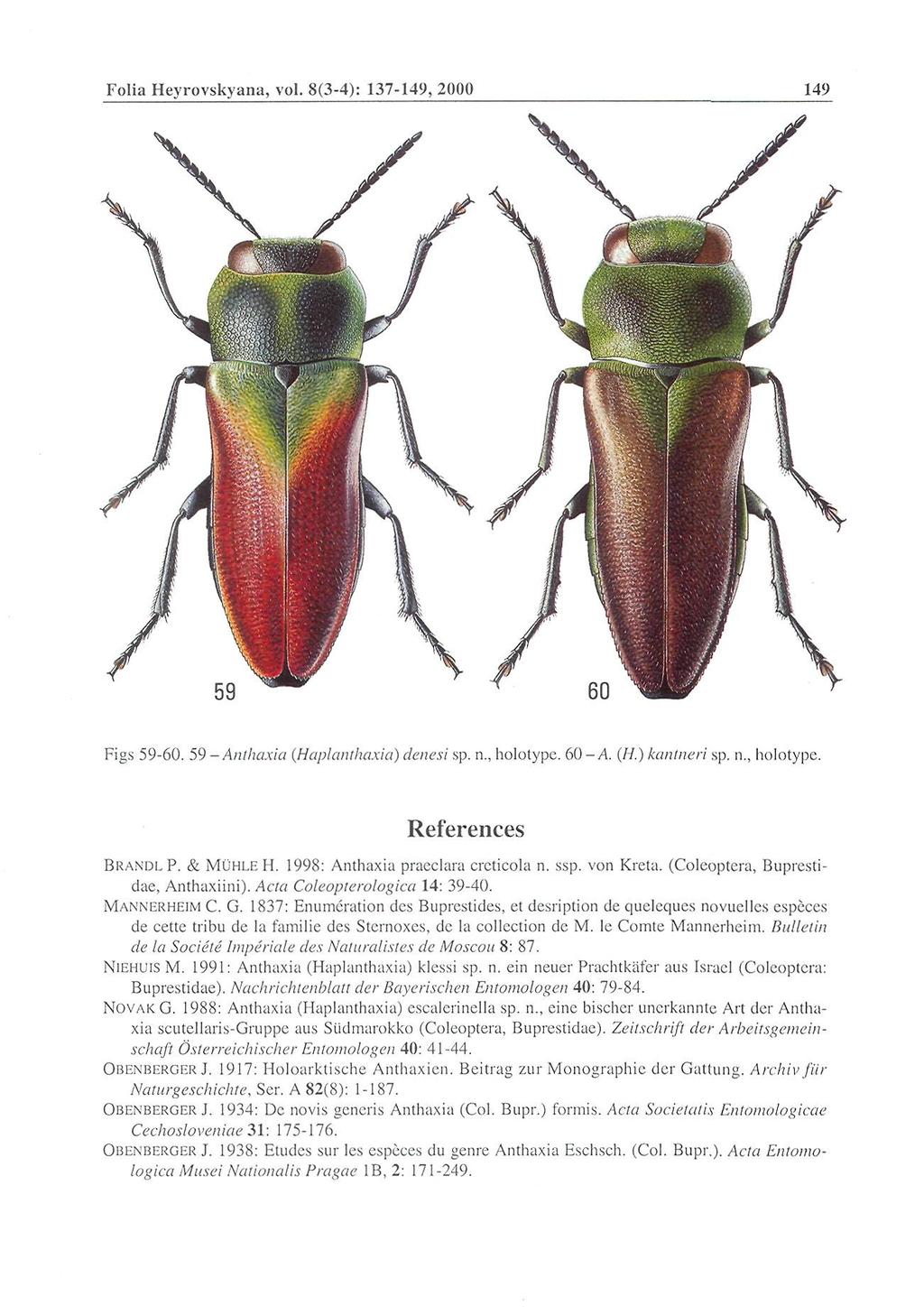 Folia Heyrovskyana, vol. 8(3-4): 137-149, 2000 149 Figs 59-60. 59 - Anlhaxia {Haplanthaxia) denesi sp. n., holotype. 60-A. (H.) kantneri sp. n., holotypc. References BRANDLP. & MOHLEH.