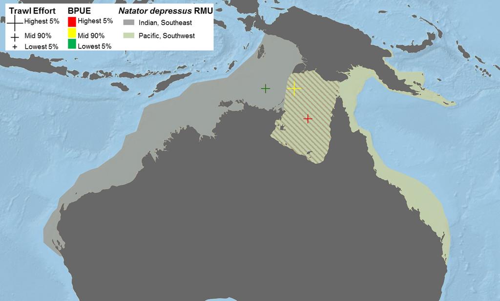 WALLACE ET AL. Fig. 10. Global distributions of bycatch records of flatbacks (Natator depressus) in relation to their respective regional management units (RMUs; Wallace et al. 2010b).