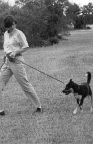 The command used for walking on a loose leash is Heel. Other commands, such as Let s-go or Let s-walk may be substituted for Heel.