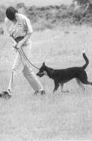 Leash 1. Have your dog sit on your left side, with his shoulder aligned with your knee. This is the Heel position. 2.