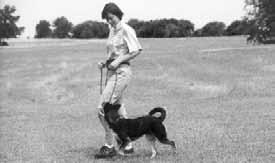 Pro-Training Collar Tips: Your dog should adjust his pace to yours, not the other way around Keep your body posture relaxed when walking Watch your dog.
