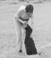 The moment your dog moves toward you, praise him enthusiastically as you walk backward. 1.