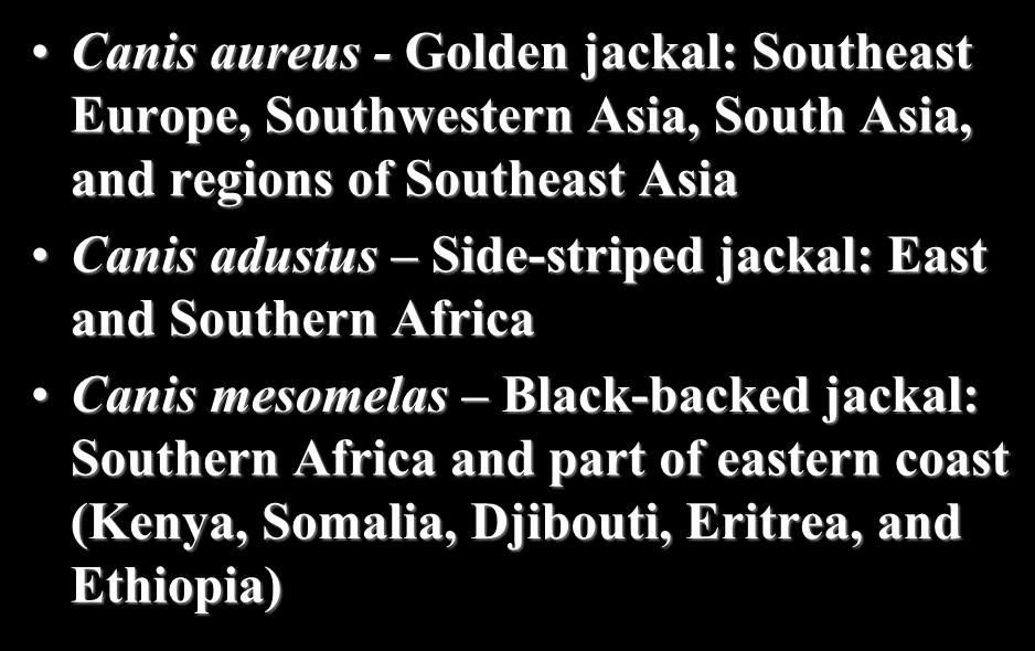 Species range: Canis aureus - Golden jackal: Southeast Europe, Southwestern