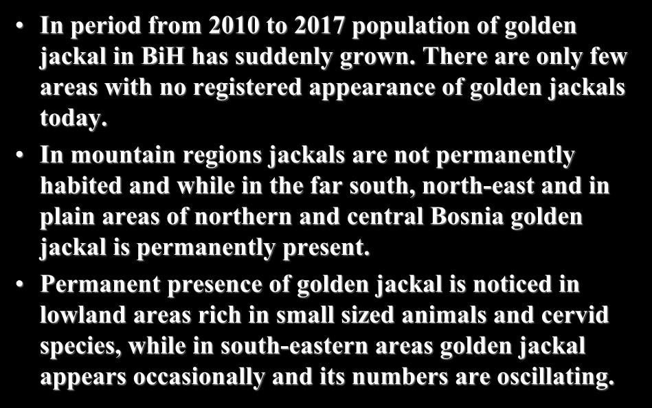 Status in BiH: In period from 2010 to 2017 population of golden jackal in BiH has suddenly grown. There are only few areas with no registered appearance of golden jackals today.