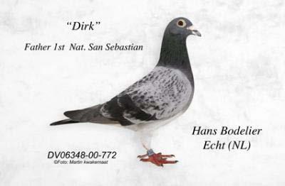 Hans Bodelier, NL-Echt Website (Click here) 1 Nat San Sebastian 2003 1 price March 1 104 p 2009 Pedigree NL 09 1437950 (Click here) Pedigree NL 09 1437973 (Click here) The pedigree of "Dirk" J.