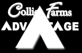 Because we at Collier Farms understand the many production and marketing challenges facing producers of all sizes, this program was created to provide a variety of marketing avenues, cattle