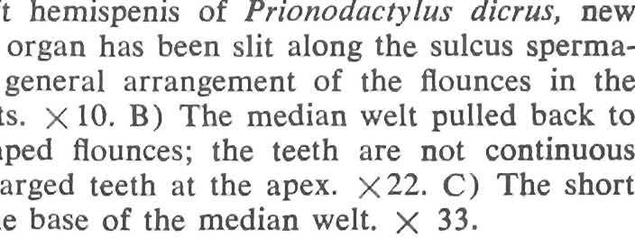 the distal che fons of the medial pocket. X43.