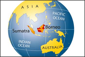 on the islands of Borneo