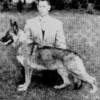 127 German Shepherd Dog History - Garrett almost bitter rivals as their breeding philosophies seemed so opposed. Yet they have such similarities as breeders.