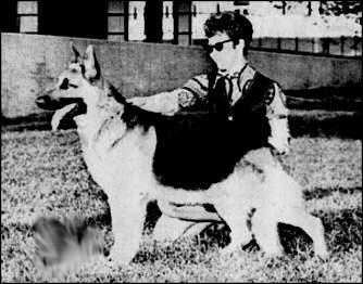 259 German Shepherd Dog History - Garrett GV Ch Hollamor s Judd Watzer v Bad Malle Ch Bernd v Kallengarten Carin vd Rasweilermuhle Yoncalla's Mr.