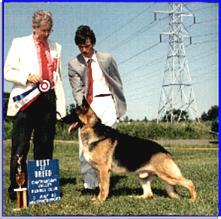 279 German Shepherd Dog History - Garrett The 1993 Canadian Grand Victor is a combination of the Rooney (Sundance Son) daughter being bred to a Langenau's Beau son (Back to Hammer) a proven winning