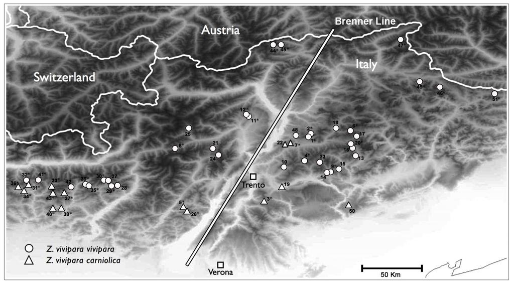 Figure 1. Sampling sites of Zootoca vivipara sp. in Northern Italy. Label, site names and coordinates are listed in Table S1a. Circles and triangles indicate locations where we found Z. v. vivipara and Z.