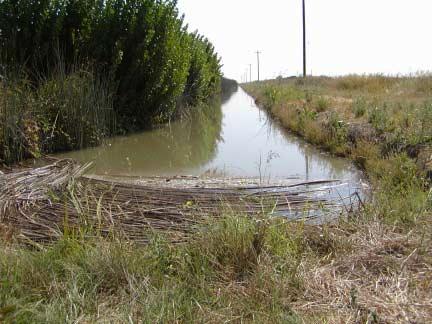 Ditch located on Airport property, adjoining Miester Road. Table 2.