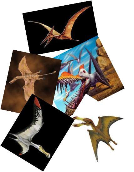 The Relationship Between Dinosaurs and Birds