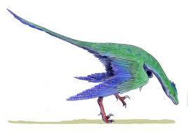 had feathers, it had a reptilian tail, and its beak is full of teeth, unlike modern birds. It lived in the.